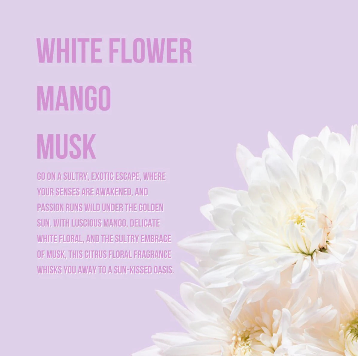 Fragranced Body Mists & Lotion Set