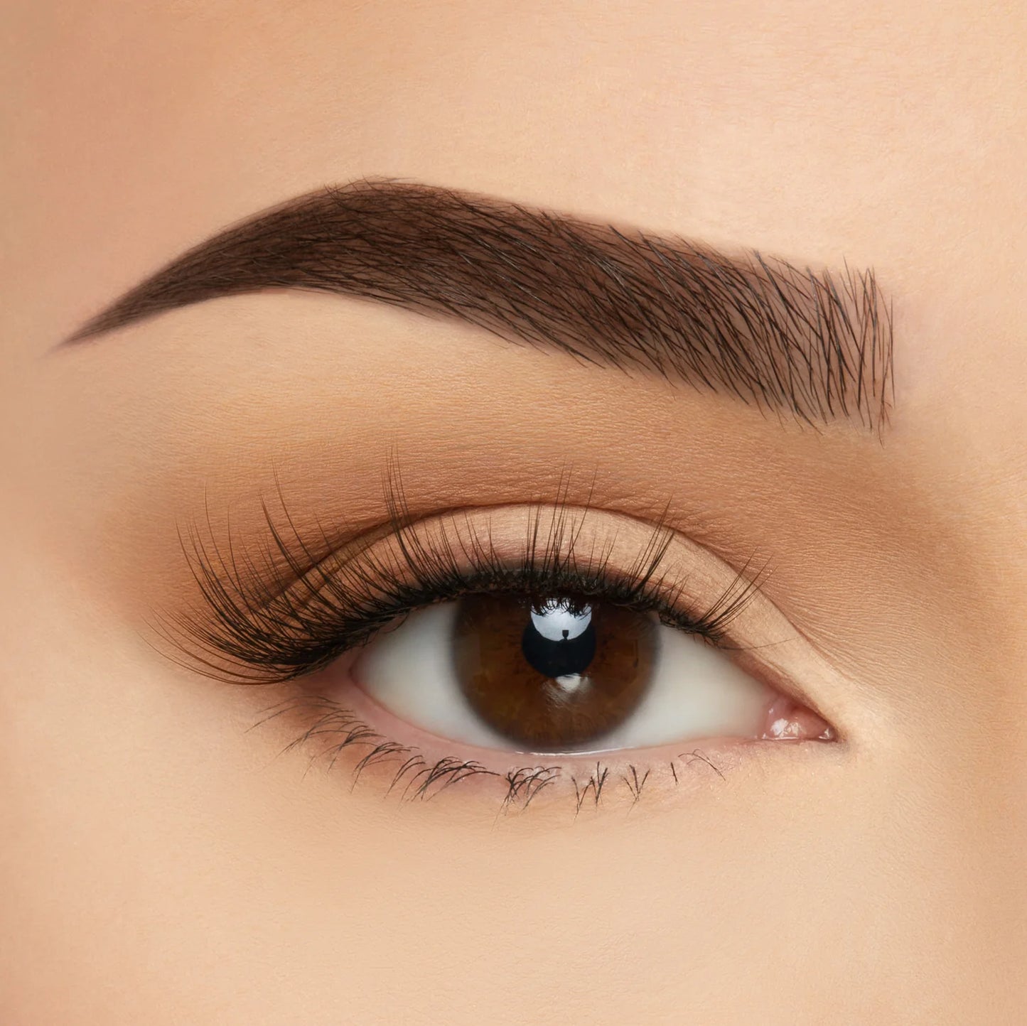 Take Me Somewhere Lashes