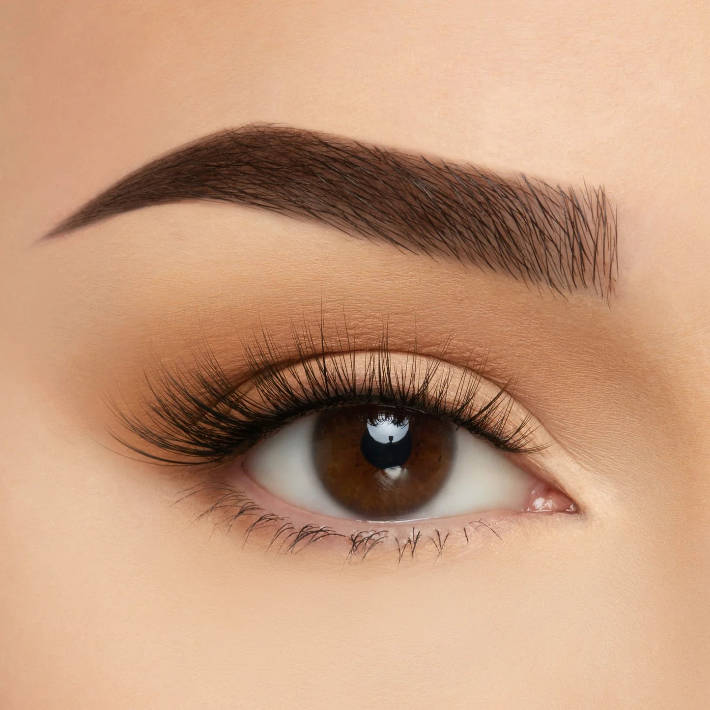 Take Me Somewhere Lashes