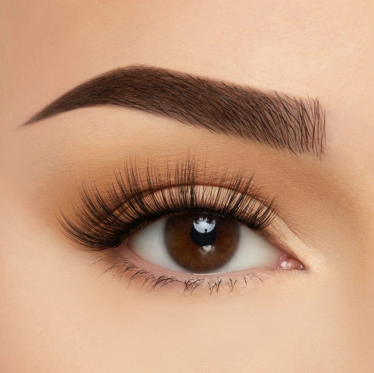 Take Me Somewhere Lashes