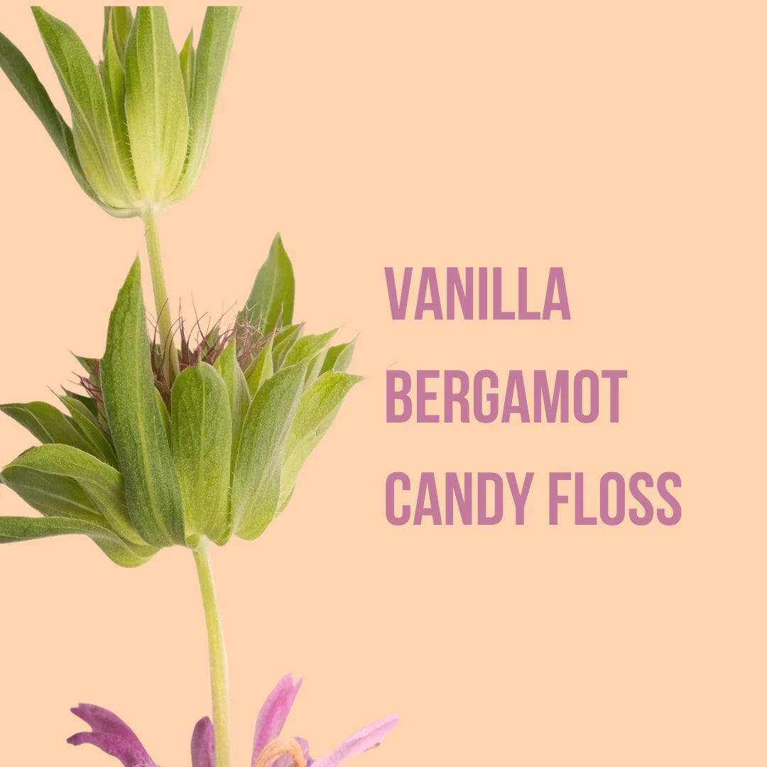 Fragance Body Lotion
