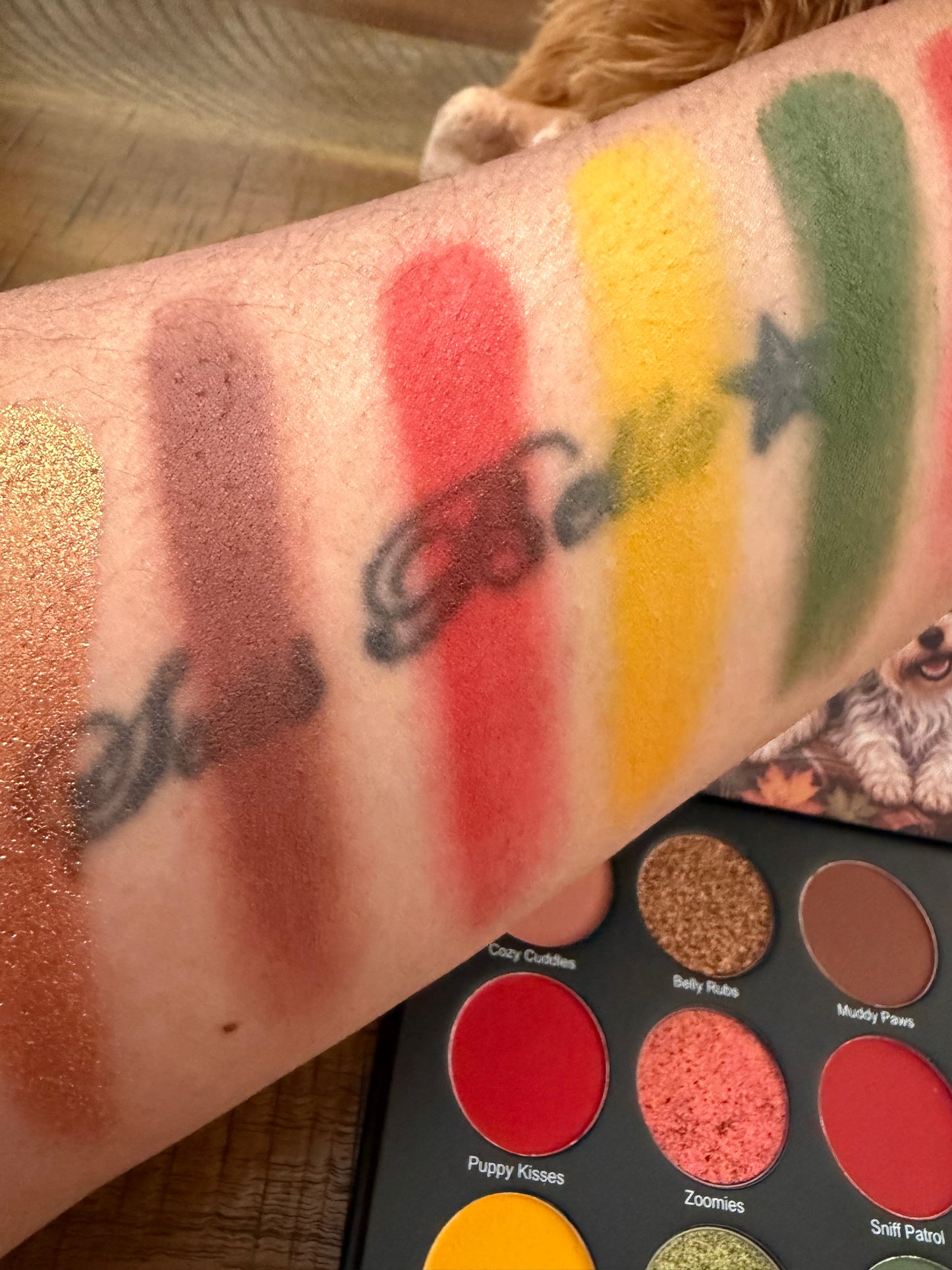 Pumpkin Patch Pups Eyeshadow Bundle