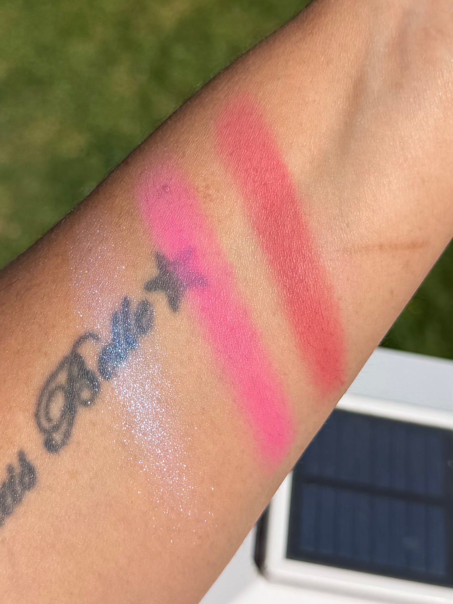 Pink Passport Blush Palette